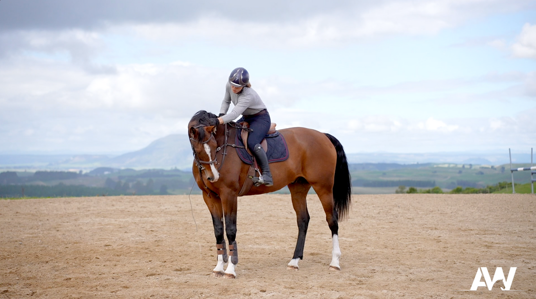 Teaching the Forehand Yield at Trot