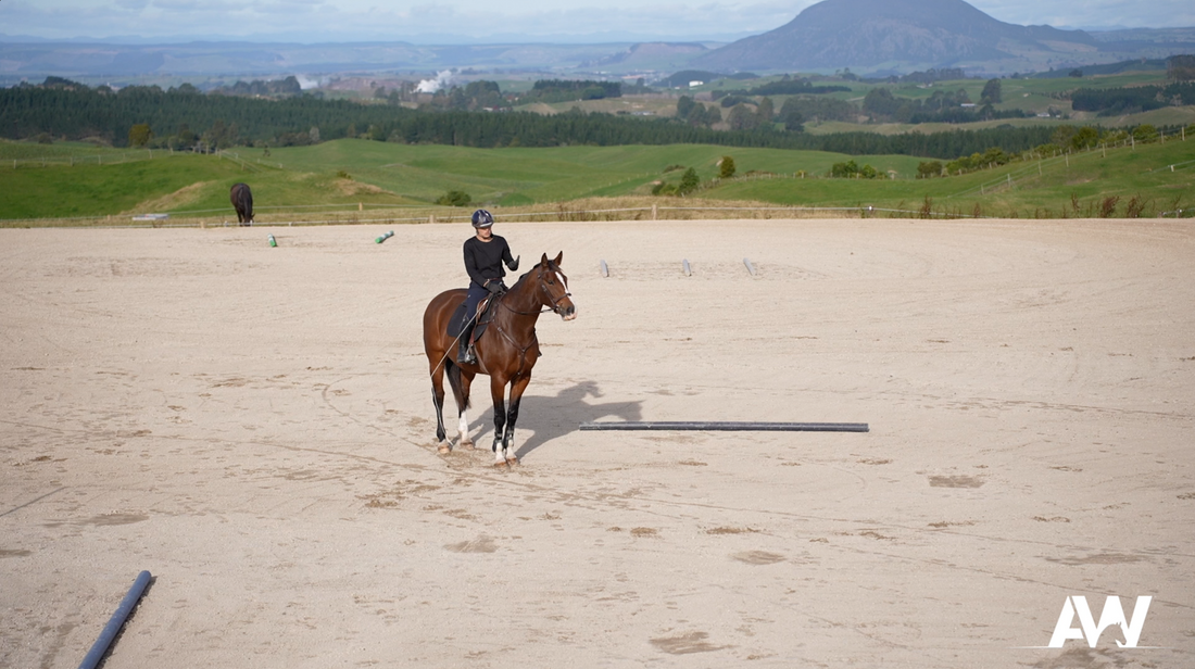 Teaching the Haunches In/ Travere