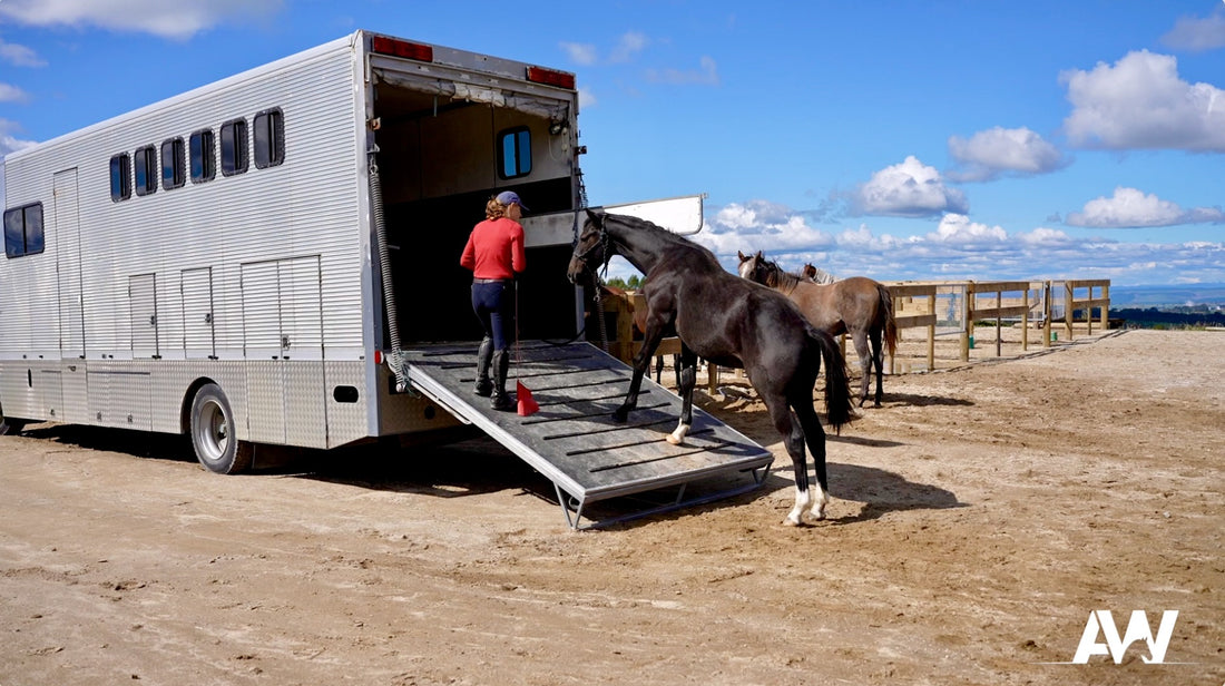 Loading Onto the Truck For the First Time