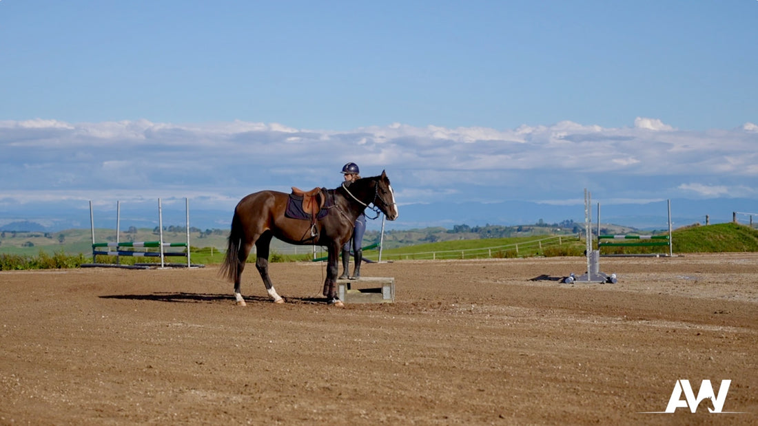 Standing to be Mounted