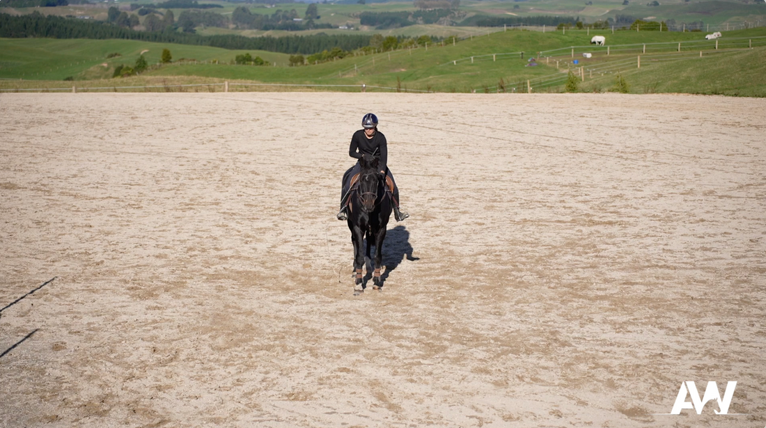 Halt to Trot Transitions