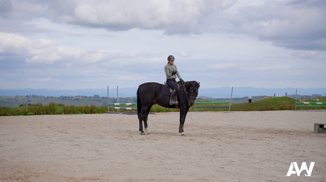 Flexions and Rein Back