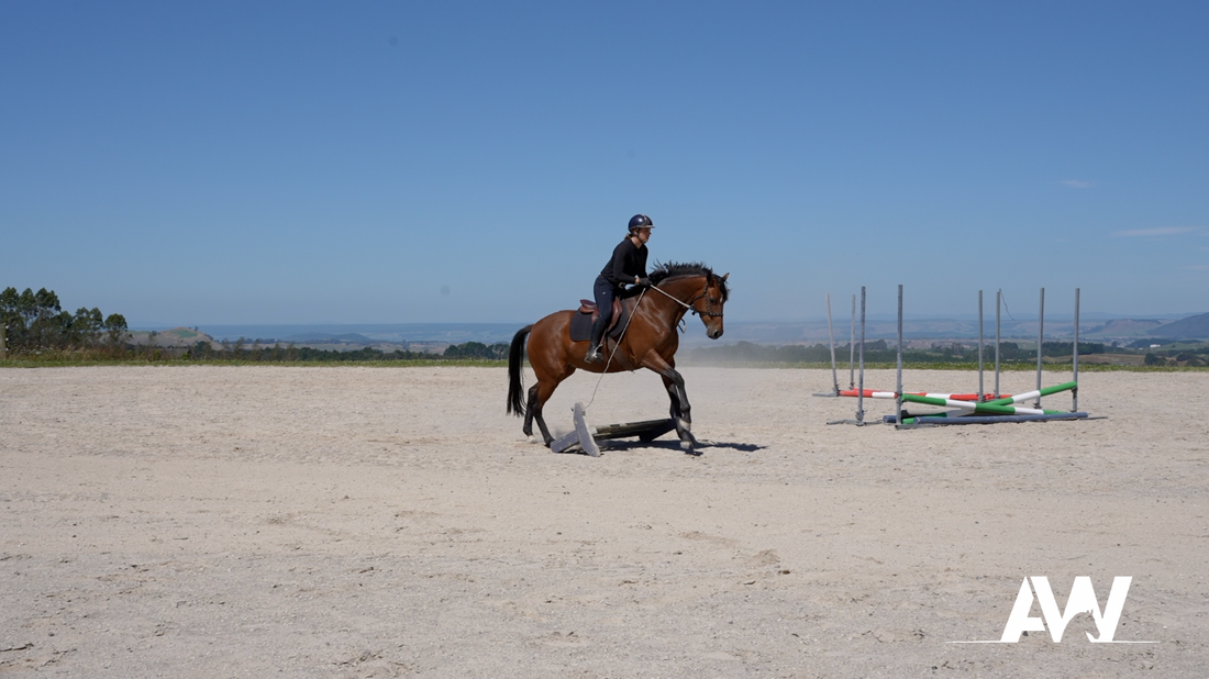 Introducing the Canter and Fill