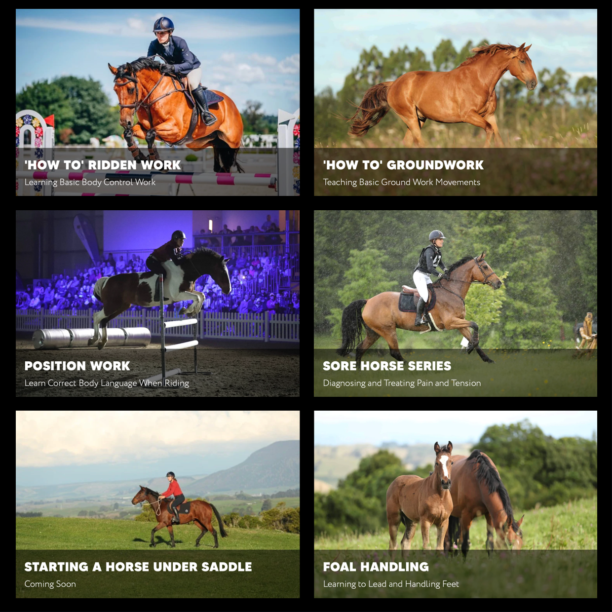 Amanda Wilson's Training Series