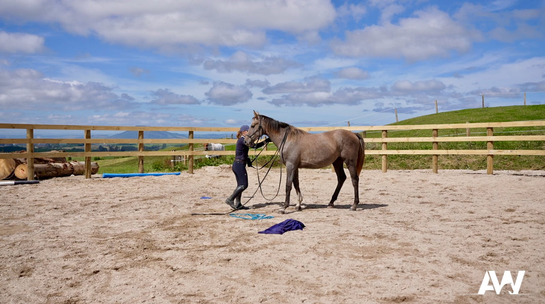 Rope Work in the Round Yard