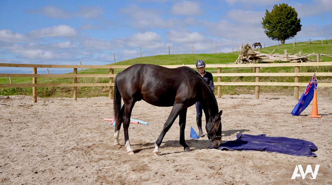 Working Over a Range of New Obstacles