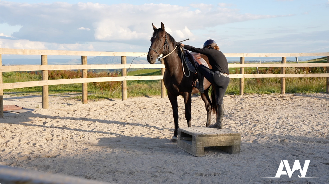 Riding Under Saddle for the First Time